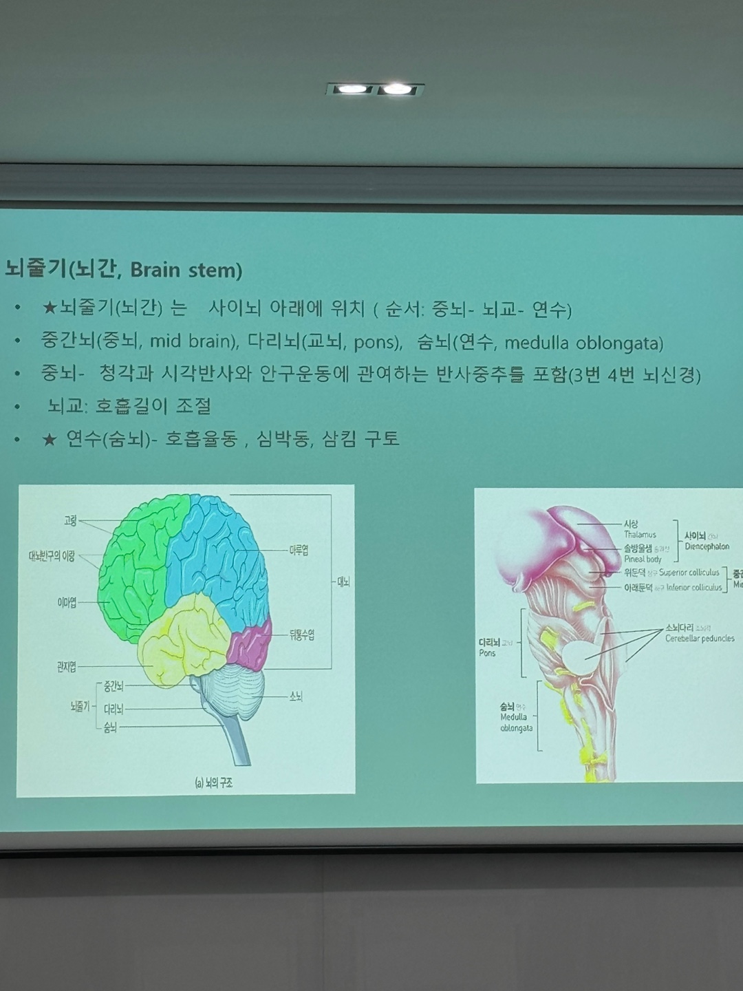 KakaoTalk_20240923_111821442_02.jpg
